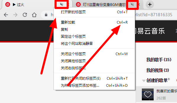 chrome浏览器怎么设置声音4